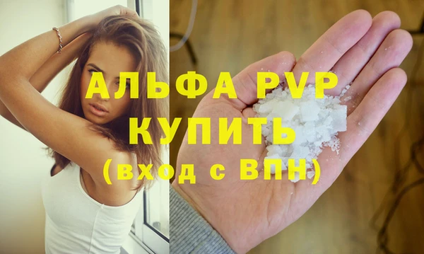 стаф Вяземский