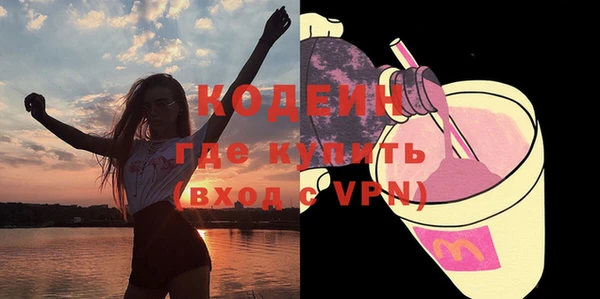 прущие грибы Вязьма