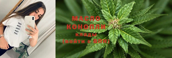 стаф Вяземский