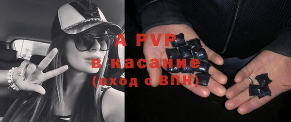 прущие грибы Вязьма