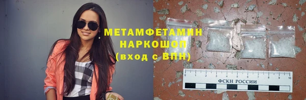 прущие грибы Вязьма