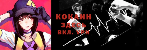 стаф Вяземский