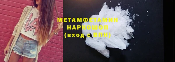 прущие грибы Вязьма