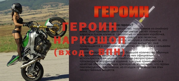 прущие грибы Вязьма