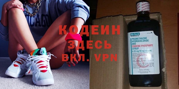 прущие грибы Вязьма
