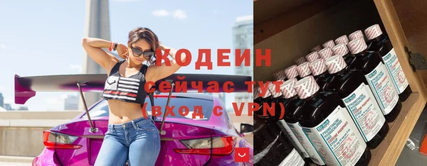 стаф Вяземский