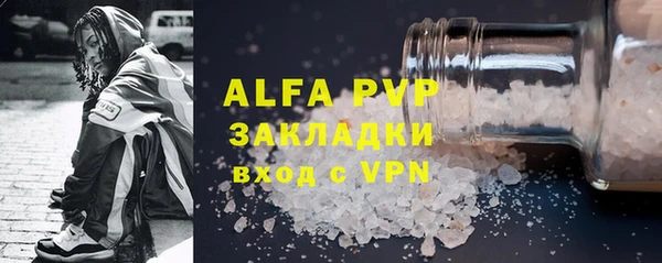 прущие грибы Вязьма