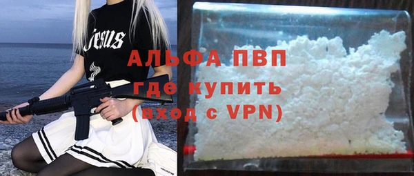 стаф Вяземский